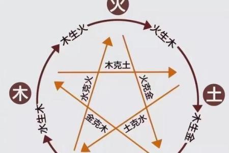 探索属虎1974的命运之道——解密五行与性格的融合