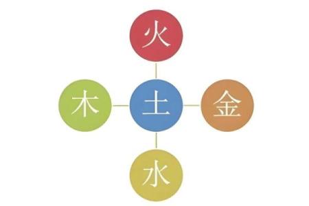 五行木命人:探秘木命的特质与生活方式