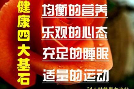 辛金命主的财富密码:揭秘致富之道!