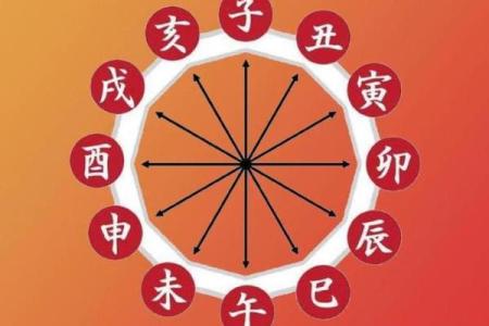 月柱乙巳与日柱乙亥的命理解析:细腻情感与敏锐洞察的结合