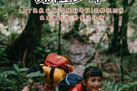 探索夜命神秘:与月光共舞的灵魂之旅