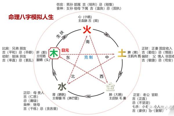 土命者的命格解析：深入了解命理中的土元素魅力