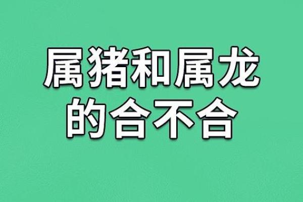 五月出生的猪：命运与性格解析，财运与爱情的双重探寻