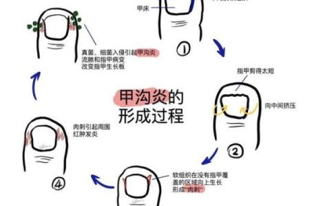 长指甲的五行属性与命理解析:你知道吗?