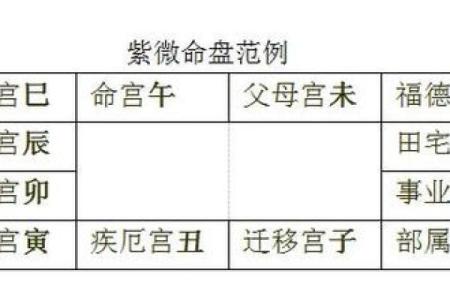 紫薇命盘解析:为何命途多舛却能逆转人生?