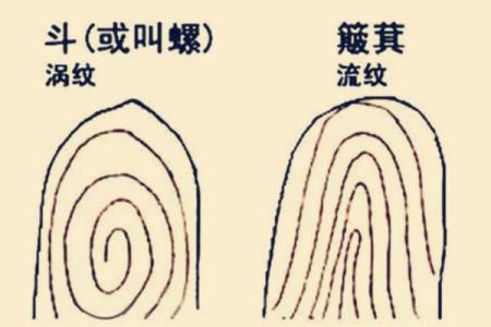探秘水土二命:揭开男性命格的秘密与奥秘