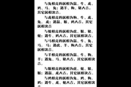 探索十二生肖命运:每个生肖背后的命理秘密与人生指导