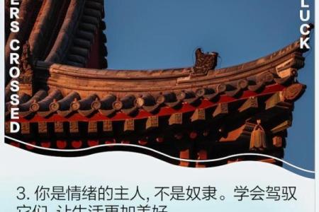 掌控情绪,决定命运:如何情绪影响人生轨迹