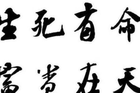 探寻高贵命与富贵命:命运的奥秘与人生的启示