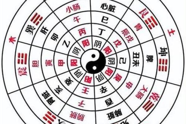 真正的阴性八字命：揭开命理的神秘面纱，探索人生方向