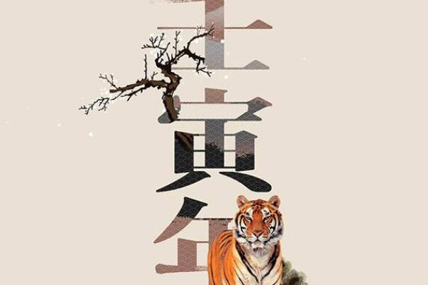 探寻壬寅年：2022年属什么命，命理背后的故事与启示