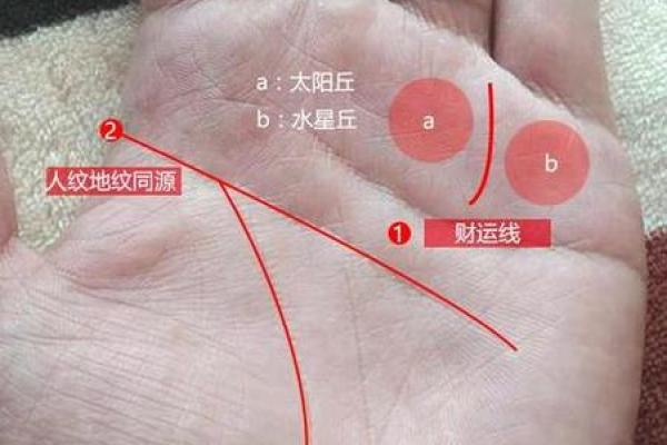 通过手相读懂你的财富命运，发现适合自身的房产运势！