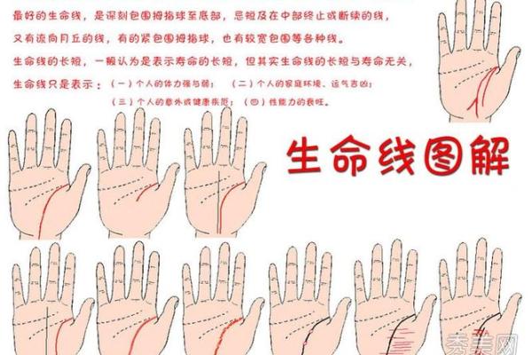 探寻生命线之谜：平行线的命运象征与解读