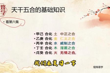 探寻八字中好丈夫命的秘密:真正的幸福来源