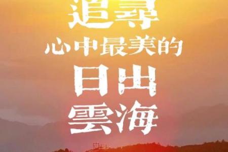 玩儿命追:拼尽全力追寻梦想的决心与勇气