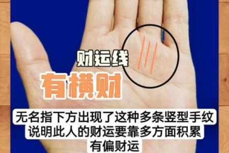 透视手相：从掌纹看你的人生运势与命运轨迹