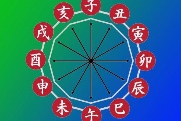 土命与火命的深层意义，揭示命理之美与生活智慧