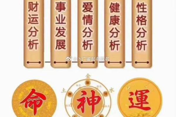 通过命理看命运，了解自己的人生轨迹与潜能