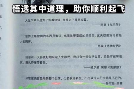 为命的命:探索人生意义与追求的旅程