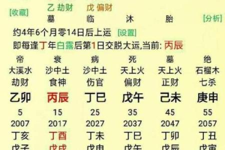 杨柳木命的最佳搭配:探寻与它最合适的命理组合