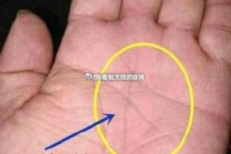 探索三角手纹背后的命运奥秘,揭示独特人生轨迹!