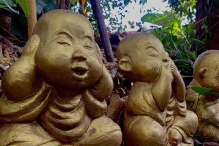 童子命的人长什么样?揭秘神秘的特征与性格