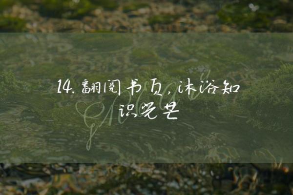 探索世界上最好的命：人生的真谛与幸福的追寻