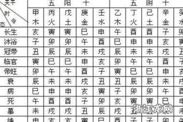 用神与命局之间的微妙关系——揭示命理的秘密