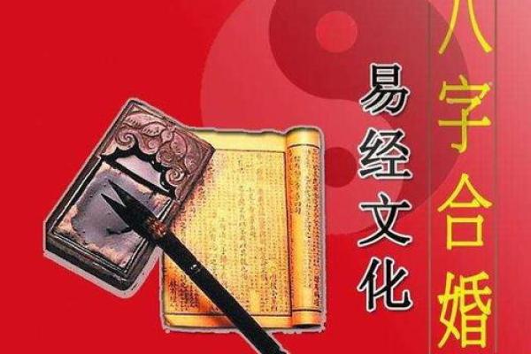水土命的优雅之道：如何选择最适合的命局