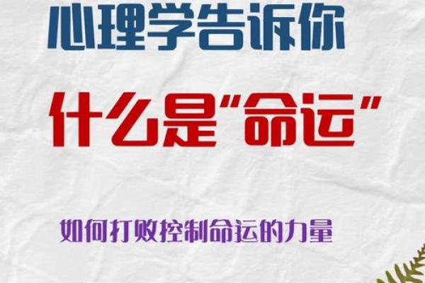 夏天辰时出生的人命运解析：与星辰共舞的心灵旅程