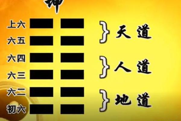 探秘命理学：解读生命密码与和谐相处的智慧之道