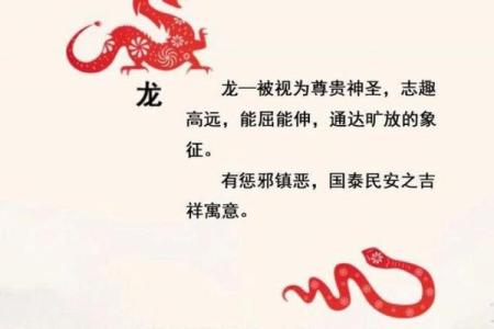 为何生肖被视作天生命运的象征?探寻生肖背后的文化寓意与影响