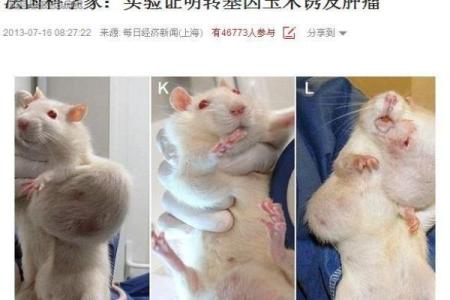 为什么马命比牛命好:探寻命运背后的秘密