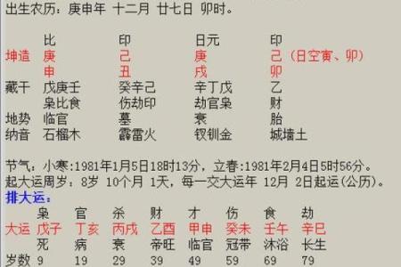 探秘童子命：父母命理的奥秘与影响