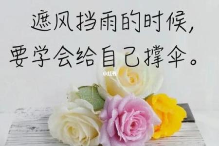 一辈子靠自己的人,如何拥有更精彩的人生?
