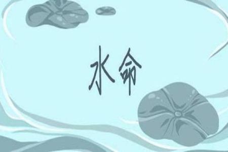探索一九八二年的水命:命理中的秘密与人生启示