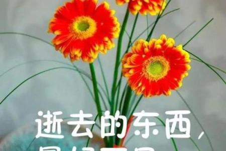 为幸福而战：那些拼搏的旋律与心声