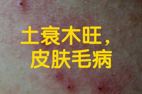 为何土命人命苦？探寻命理背后的深层原因与解答