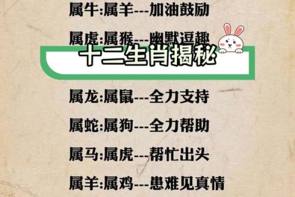 探索生肖文化：属鼠的七命运及其个性解析