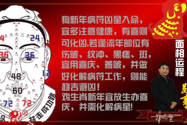 一九六九年出生的鸡年人，究竟命运如何？探秘命理与生活智慧！