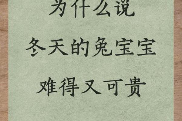 一九八七年兔子命的特点与生活智慧探秘