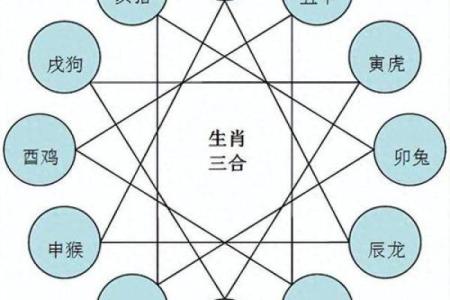 探索金命与火命的神秘:生肖与命理的完美交融
