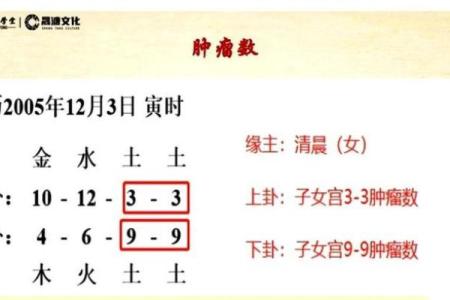 为何土命人命苦?探寻命理背后的深层原因与解答
