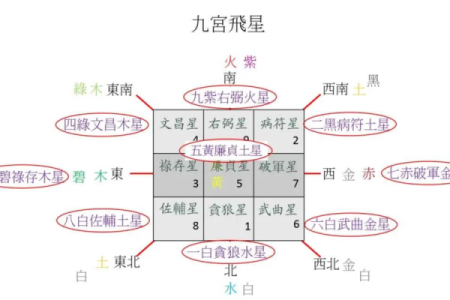 五零年出生的人命理解析：探寻命运与个性的奥秘