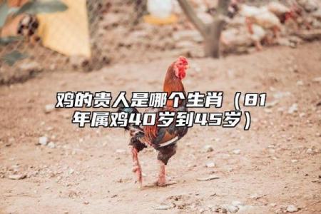 五十一鸡女命的命理解析：她的性格与运势