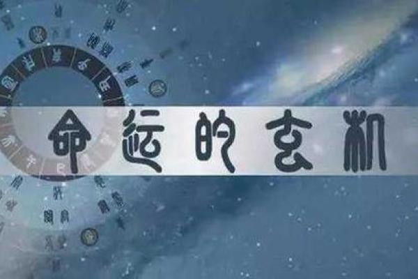 五十三岁鸡命人：探索命运中的智慧与机会