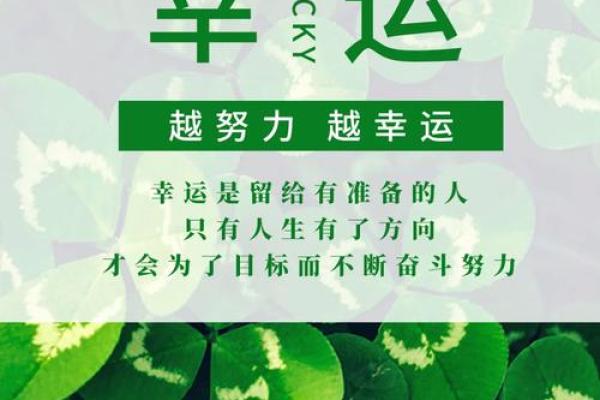 鼠年宝宝的命运解析：喜怒哀乐，如何巧妙应对人生的挑战