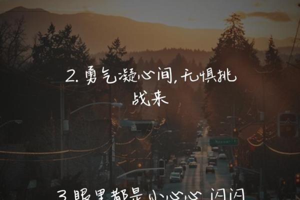 为什么你拥有三条命：生活、梦想与勇气的旅程