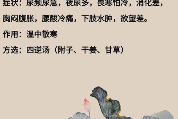 探索命理的奥秘：热命、寒命与平命的深度解析