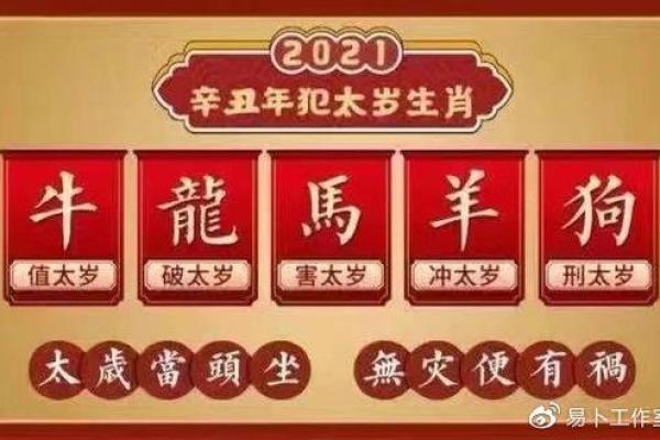 土命与财运的关系：哪些命理组合最助土命财富增长？